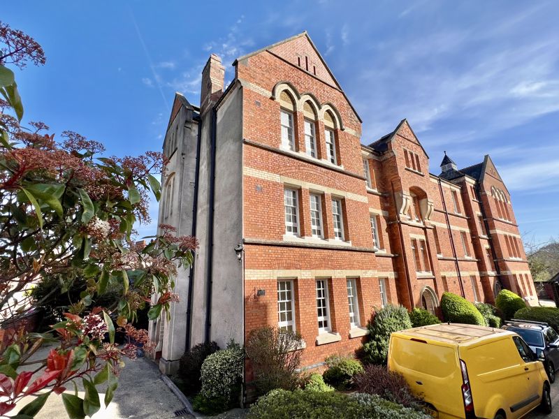 Main Image
